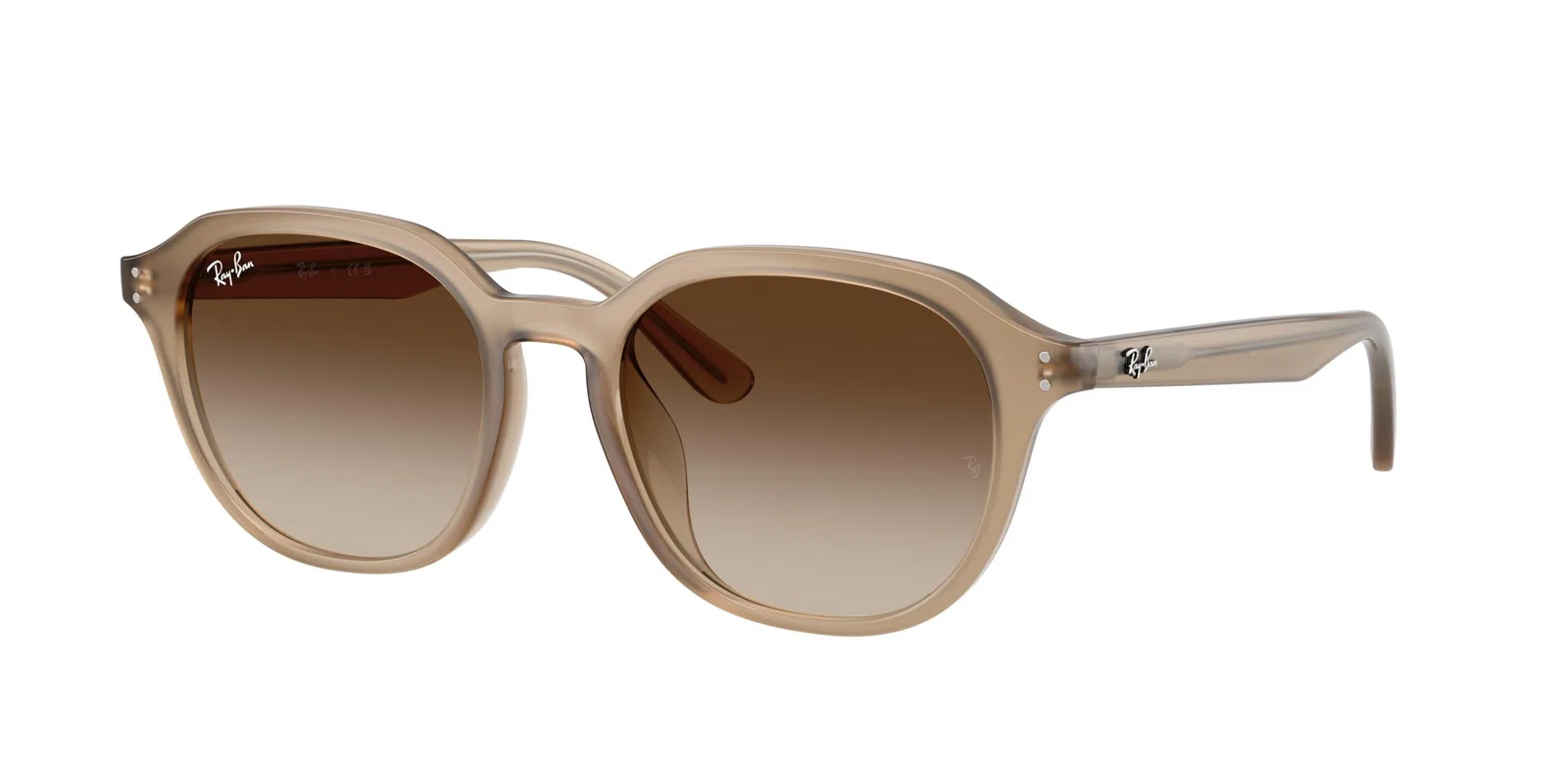 Ray-Ban 4459D Sunglasses - view 5